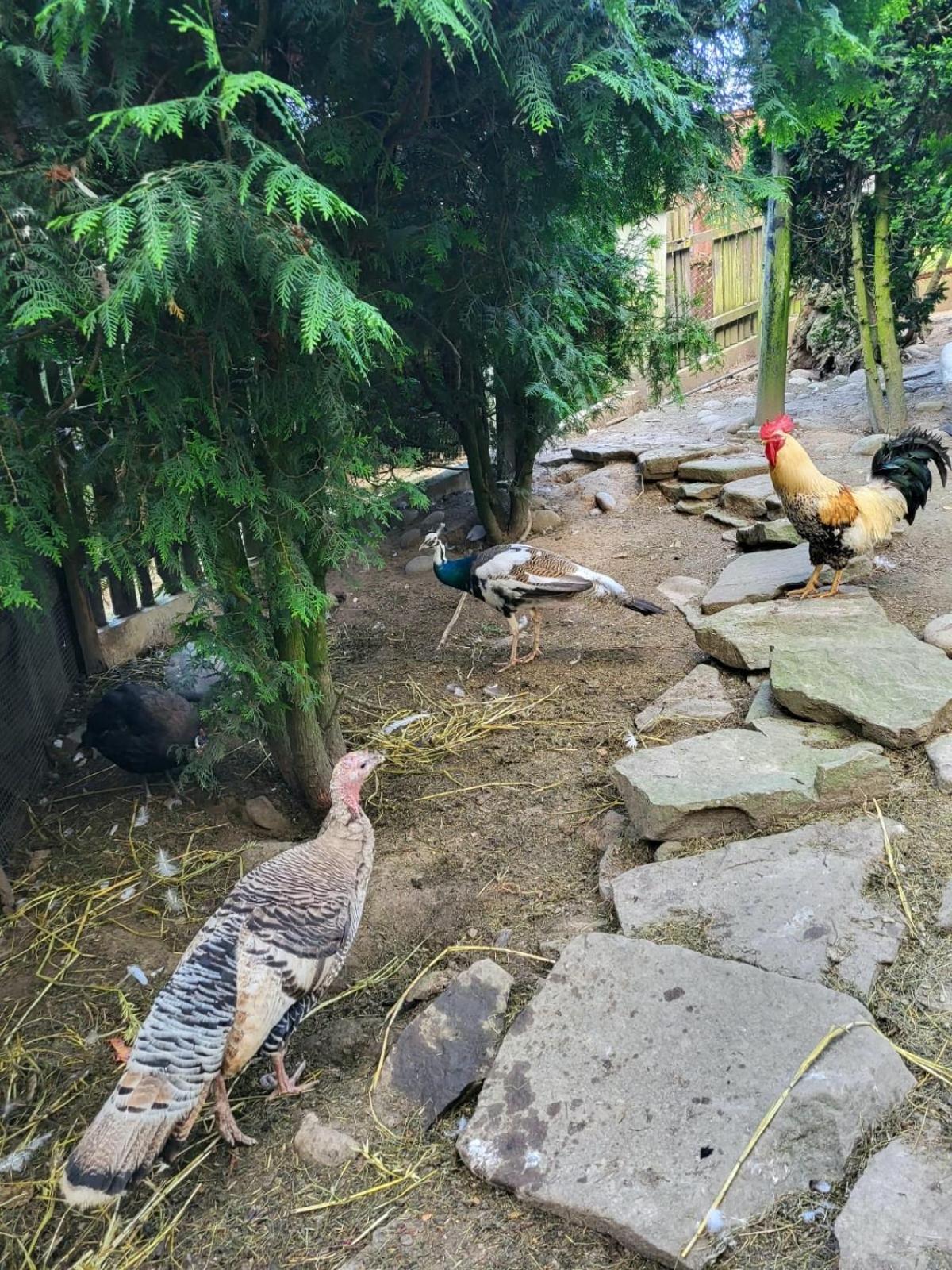 Koperkowe Rancho Beskid Wyspowy Domek Malopolskie Kamionna Kamionna  Exteriör bild