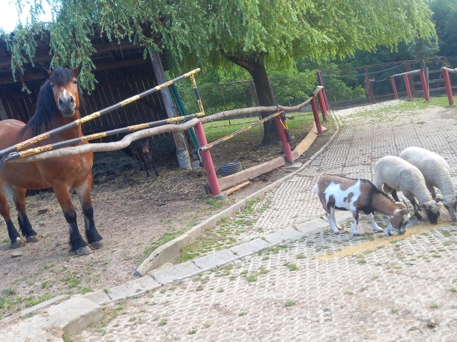 Koperkowe Rancho Beskid Wyspowy Domek Malopolskie Kamionna Kamionna  Exteriör bild